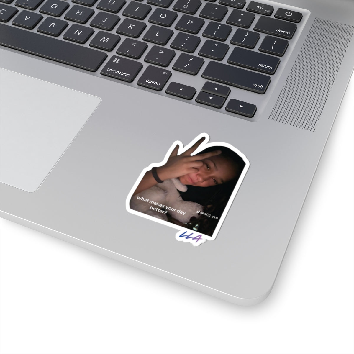 Photo Portrait Kiss-Cut Sticker — "what makes your day better?" Laptop Decal